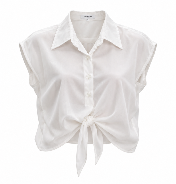 Áo Blouse Cộc Tay Croptop - 4