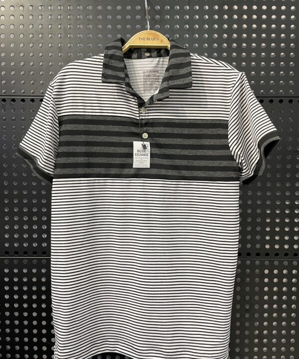 Men's Polo Shirt T2D-PS21524
