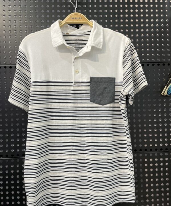 Men's Polo Shirt T2D-PS21522