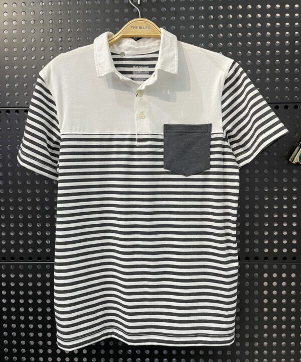 Men's Polo Shirt T2D-PS21522