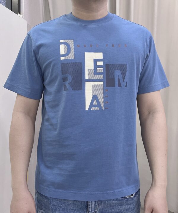 Áo Thun Nam Tay Ngắn T2D-TS23687