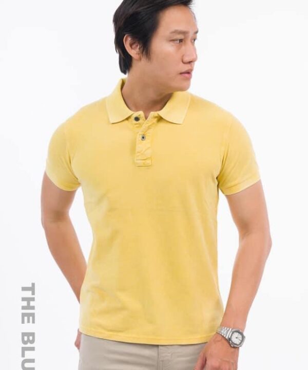 Áo Thun Polo Nam P1S-GV19038