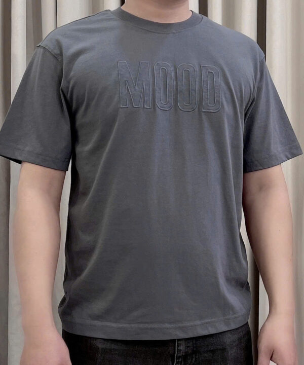 Áo Thun Nam Căn Bản T2D-TS24117