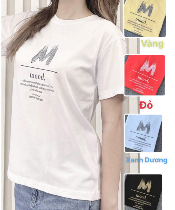 Áo Thun Nữ Căn Bản T1D-TS24149